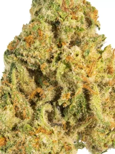  Premium cannabis strain JEALOUSY