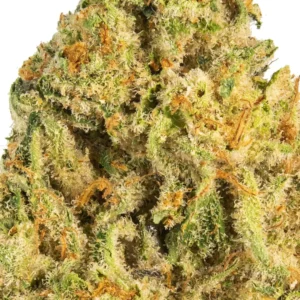 Premium cannabis strain JEALOUSY